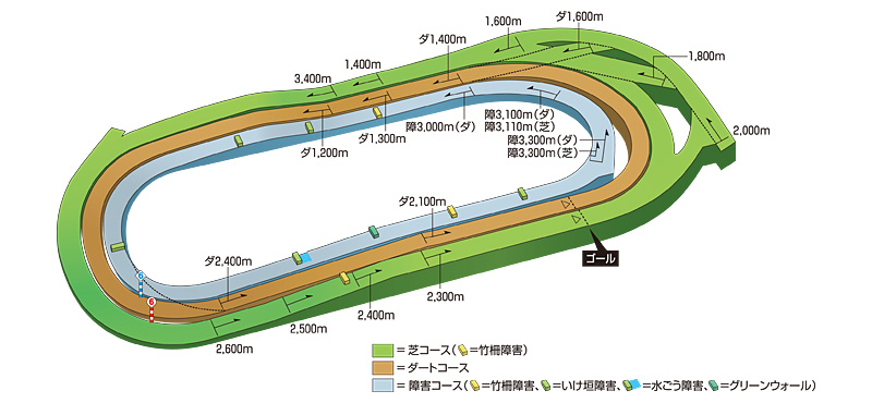 東京競馬場のコース